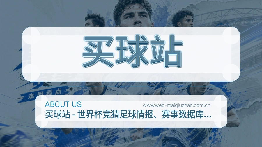 买球站服务说明配图